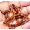 Gemsmyriad 49.95 KT 100% Naturale Tanzania Arancione Cianite Lotto Di 20 Pz Esemplare Rough