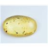 Gemsmyriad 100% Naturale Giallo Ambra 7.55 KT 23 MM Non Trattato Certificato Agrati