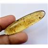 20.75 KT 100% Naturale Giallo Ambra Insetto Inclusione Certificato Loose Gemma