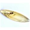 Gemsmyriad 100% Naturale Tanzania Giallo Ambra 8.05 KT 42 MM Non Trattato Certificato Gemma