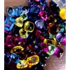Naturale 500 KT Ceylon Multi Colore Zaffiro Lotto Mix Taglio Loose Gemma Lotto