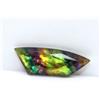 20 CT Naturale Ammolite Taglio Fantasia Opal-Like Doppietto Certificato Loose