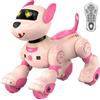 anysun Cane Robot Programmabile Telecomando Comandi Vocali Sensori Bambini Giocattolo