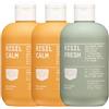 DERMAPLUS RISIL - Detergente intimo - a base di acqua fermentata di riso - 2 flaconi di RISIL CALM con pH 7 per la Donna in menopausa e 1 flacone di RISIL FRESH con pH 5 per l'Uomo - 3x300 ml