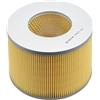 Castrol Filters Filtro aria CA0629