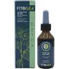 CASA WELLNESS Snc FITOGEA DETOX 100 ML