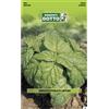 Sementi Dotto Sementi Extra_basilico Foglia Lattuga