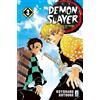 Demon Slayer. Kimetsu No Yaiba (Vol. 3)