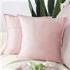 Madizz 2 Pezzi Federe in Velluto Copricuscini Morbido Decorativo Fodere per Cuscino Lusso Stile per Divano Camera da Letto Rosa Chiaro Quadrate 60x60 cm