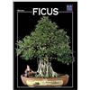 Crespi Milano Ficus