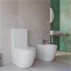 DEGHI Sanitari filomuro vaso monoblocco sedile SoftClose ceramica bianco lucido - Nadir