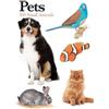 Claudia Martin Pets (Tascabile) Mini Expert Guides