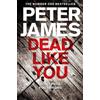 Peter James Dead Like You (Tascabile) Roy Grace