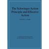 David J. Toms Schwinger Action Principle and Effective Action (Tascabile)