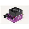 Yokomo (Yokomo) Yokomo RPX4 Competition ESC Drift Spec Purple Racing Performer BL-RPX4DP