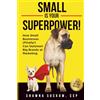 Porcus Volanti Press Small is Your Superpower!: How Small Businesses (Finally!) Can Outsmart Big Brands at Marketing
