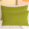 SWJ-swjssb Copri Cuscini Velluto A Coste - Set di 2, Fodere Quadrato E Rettangolare, Copricuscino Elasticizzati con Cerniera, per Divano E Camera da Letto, Lavabili(Emerald Green,40x60 cm Set of 2)