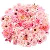 Verphysis 60 Pezzi Fiori Finti per Decorazioni, 18 Tipi Fiorellini Finti per Decorazioni, Fiori Artificiali, Fiori per Torte, Fiori Decorativi, Mista Piccola fiori di Stoffa, per Torte Artigianato DIY Matrimoni