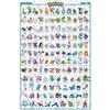 ABYSTYLE Poster Pokémon Hoenn English Characters 61x91.5cm