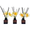 Urier Set di 3 diffusori vuoti con bastoncini neri per bagno, hotel, decorazione della casa (3, marrone, 50 ml)