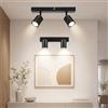 Dehobo Lampada Faretti da Soffitto LED Orientabili, Faretti da Parete Interno GU10 Nero Opaco, Lampadario LED Moderna da Soffitto per Camera da Letto Cucina Soggiorno, Lampadina non Inclusa-2 Pezzi