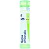 Boiron Sepia Officinalis 5CH Granuli Tubo