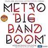 Chuck Loeb, Wolfgang Haffner & Mitchel Forman Metro (Vinyl LP) 12" Album