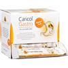 Caricol Gastro | 100% prodotto naturale | Supporto per la mucosa gastrica | Con il potere di Papaya & Biotina | Con papaina | 42 bastoncini da 20 g (840 g)