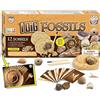 Dr. Daz - 12 Fossil da Collezione Naturali - Paleontologia - Regali Pasqua Bambini