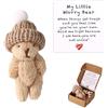 TOYMIS Orsetto in Scatola, Mini Peluche Positivo Fatto a Mano Scatola il Mio Piccolo Orsetto Preoccupato con Biglietto Incoraggiamento Grazioso Abbraccio Peluche Tascabile per Gli Amici (Marrone)