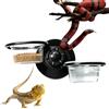 Generico Reptile Food Dish Feeder, Wall Mounted Bowl, Removable Suction Cup Accessory with Easy Install, Compact Pack Utility with Quick Clean, Pet Accessory, Longtail Habitat Care Aid for Turtle Use