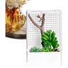 Generisch Mantis - Terrario per insetti in acrilico, 10 × 8 × 15 cm/12 × 10 × 20 cm, box ventilato per la coltivazione di insetti, habitat della villa espositiva, rifugio sicuro per gli amanti di Dio