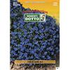 Sementi Dotto Semi di Lobelia Nana Blu Scuro - h cm 20