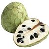 Generic Annona Cherimola Cherimoya Custard Apple Tree 5 Fresh Seeds Seeds ONLY