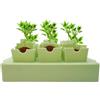 Generisch per germinazione | Mini propagatore Plant Grow Kit | Serra riutilizzabile coltivazione di per trapianti di partenza per la preparazione di pavimentazione in interni esterni