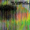 WB The Flaming Lips and Heady Fwends