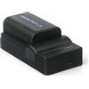 CQJFCYBRA Compatibile For Sony, For Caricabatterie Agli Ioni Di Litio NP-FM55H 1600mAh, For DCR-TRV12E TRV11E TRV10E TRV8E TRV6E HC15E HC14E(1 Battery 1 Charger)