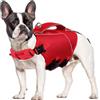 ASENKU Giubbotto di salvataggio per cani, gilet di sicurezza per animali domestici, per nuoto e canottaggio, giubbotto di salvataggio con squalo, costume da bagno per cani di taglia piccola, media e