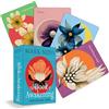 Red Wheel/Weiser The Book of Awakening Inspiration Deck : (64 Full-Color Cards): Volume 5