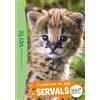 HACHETTE JEUN. Expédition au pays des servals: 25