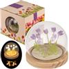 MIJOMA Mini lampada decorativa a LED a forma di tulipano, con base in legno, 10 x 10 cm, lampada da tavolo a batteria, luce bianca calda, elegante accessorio per la casa (viola)