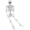 XONOR - Scheletro snodato per Halloween, 165 cm, scheletro umano realistico a grandezza naturale, articolazioni mobili, accessorio per Halloween e decorazione spaventosa per feste