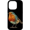 Robin Bird Outfit Custodia per iPhone 14 Pro Divertente Robin Bird Look per Ragazzi e Ragazze