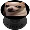 Dog Humor Funny Cute Memes Art (Chihuahu Carino Divertente Chihuahua Viso Sfocato Cane Meme PopSockets PopGrip Adesivo
