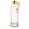 Montale nepal aoud epv 100ml