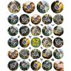 SCIONE 52 Pezzi Mini Spinner Dinosauri Giurassici - Plastica Resistente, Giocattoli Sensoriali Silenziosi per Bambini- Regali per Borse Festa, Premi Scolastici, Regali di Compleanno, Antistress
