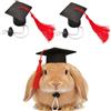 XULIDEONG Cappello di Laurea Piccolo, 2 Pezzi Mini Cappello Laurea Decorazione, Mini Graduation Hat, Graduation Cap con Nappe, Regolabile, Decorazione per Feste, per Animali di Piccola Taglia (C)