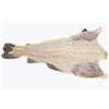 IL GAMBERO ROSSO Baccalà Salato Islanda 12AAA 4,5Kg circa