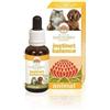 BUSH BIOTHERAPIES Pty Ltd Instinct balance 30 ml