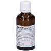 NAMED Srl Quassia 50ml gtt spl pascoe